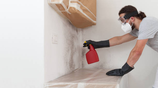 Professional Bathroom Mold Removal technician working in South Fork, PA